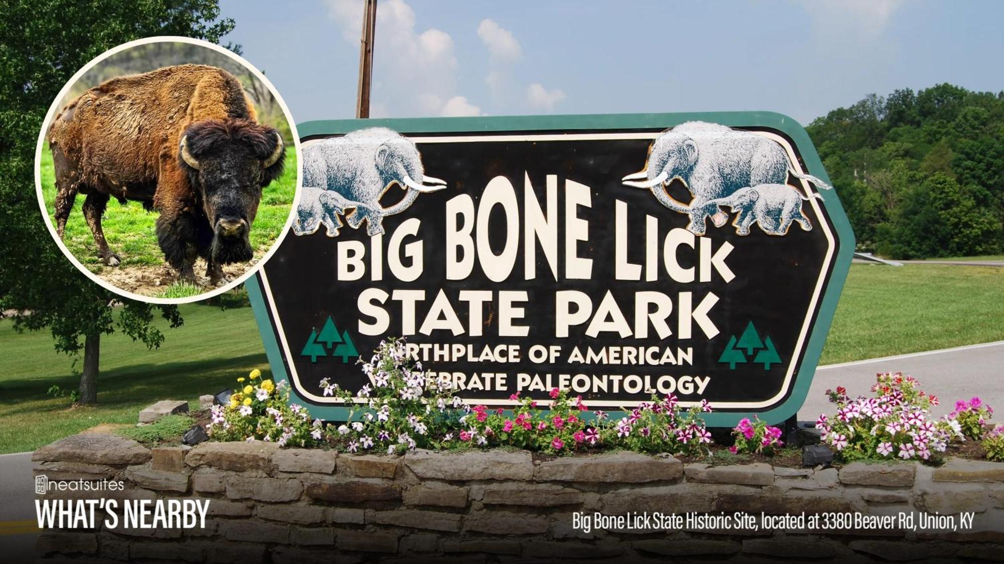 The Lodges At Eden Reserve - Safari Tents วิลเลียมส์ทาวน์ ภายนอก รูปภาพ